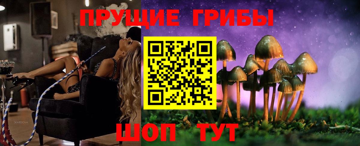 Псилоцибиновые грибы Psilocybine cubensis Зеленодольск